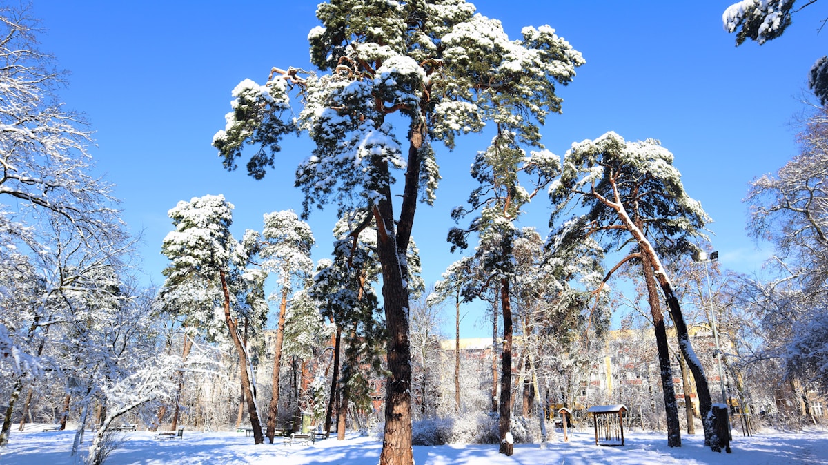 Ogrzewanie dieselowe do kampera – Webasto, Eberspächer czy Chiński klon? Porównanie