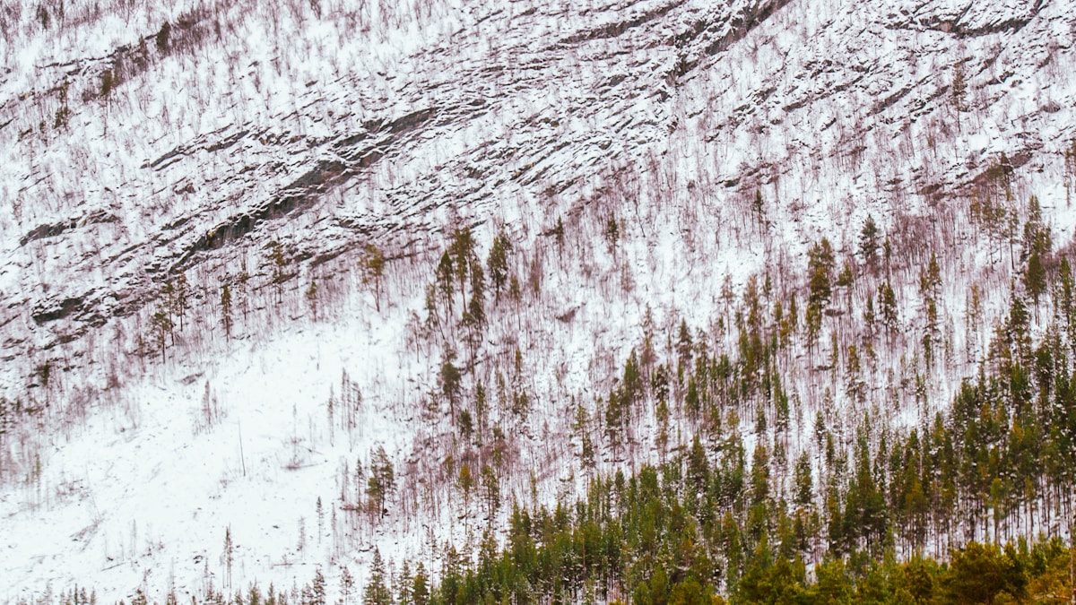 Nowe przepisy dla kamperów w Europie 2026 – co musisz wiedzieć przed sezonem