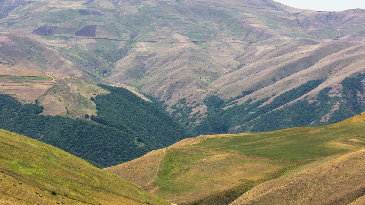 Bieszczady kamperem – trasa, campingi, atrakcje 2026. Kompletny przewodnik